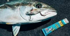 Berkley Gulp Gel Rub On Scent 35ml Tube -Alvey shop gulp gel rub on scent kingfish photo