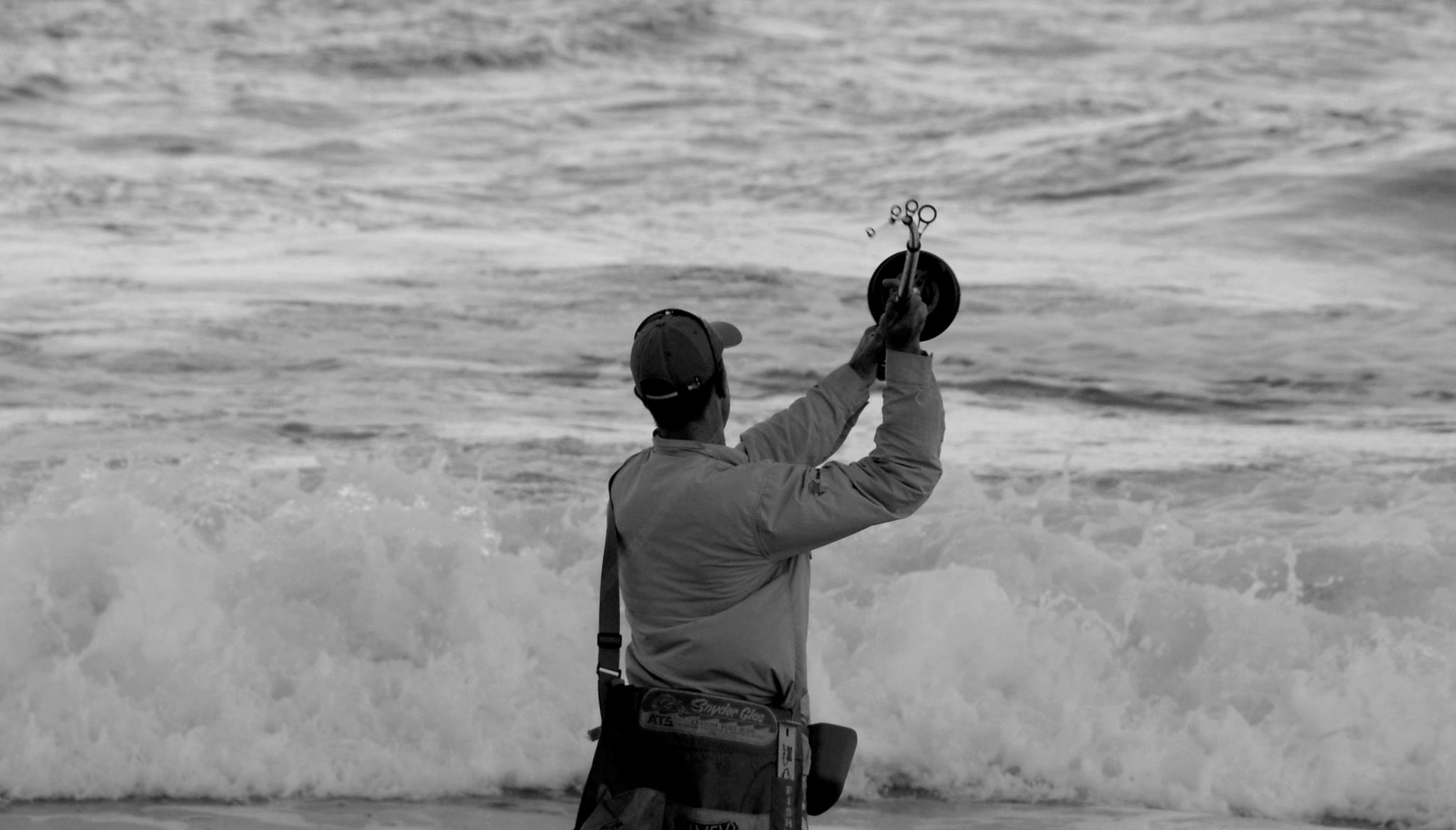 Alvey shop 1 Alvey shop -Alvey shop 411359 341884689183529 2131302518 o